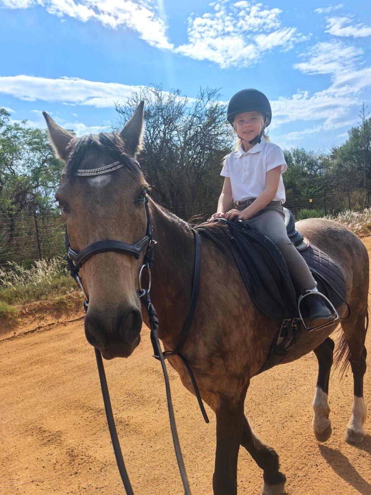 Young rider in a white shirt on a brown pony