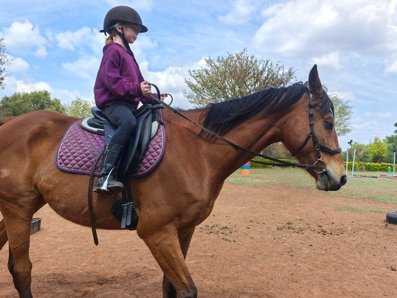 A young rider in a purple jersey on a bay horse in the arena
