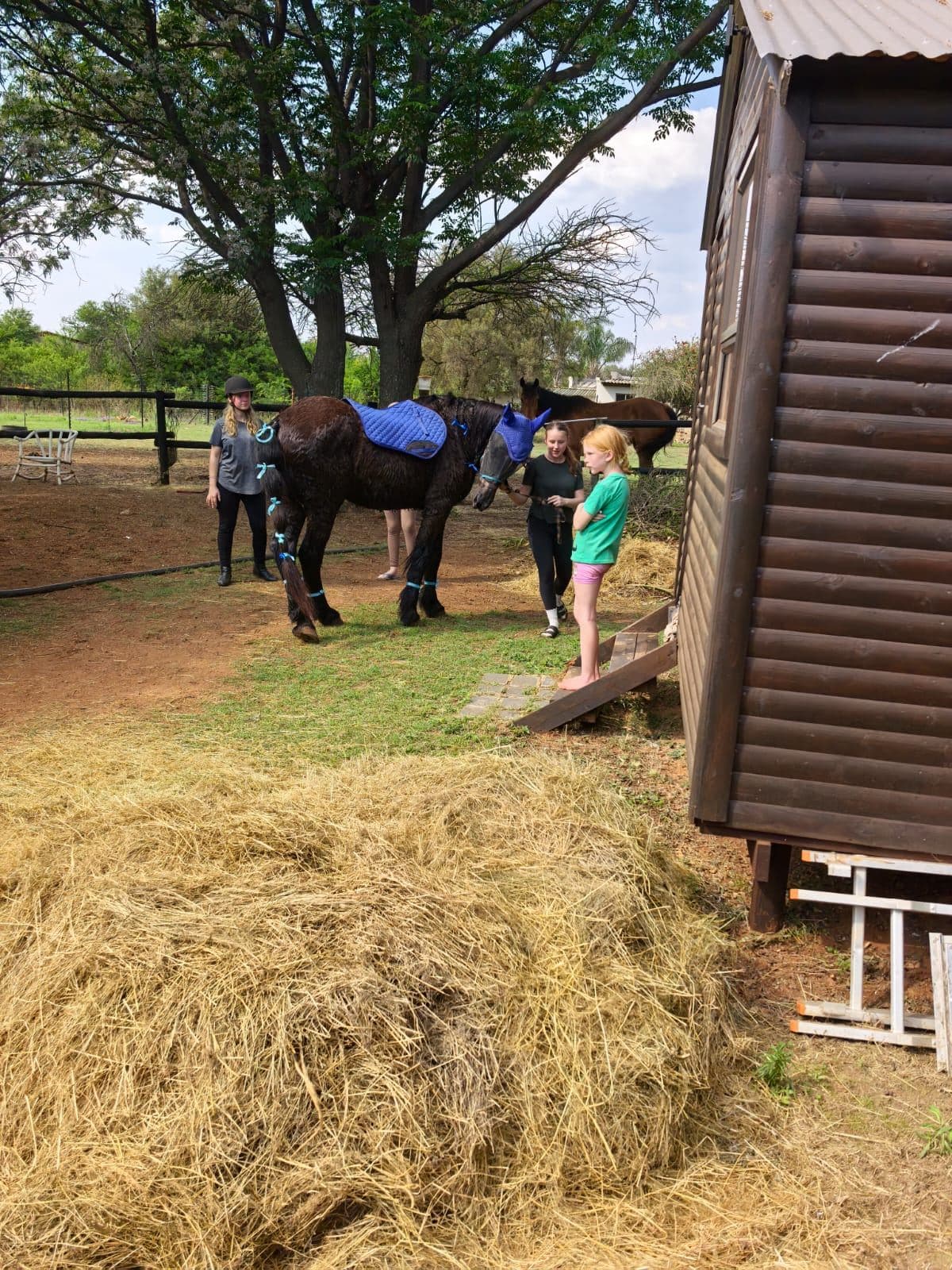 Riders and horses at the stables by the hay