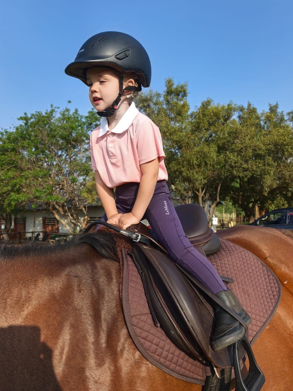 Little rider in a pink shirt in the saddle