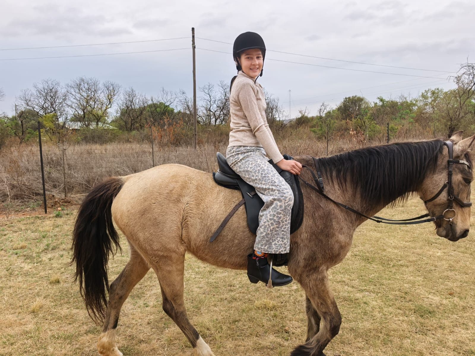 Rider on a buckskin horse in the paddock
