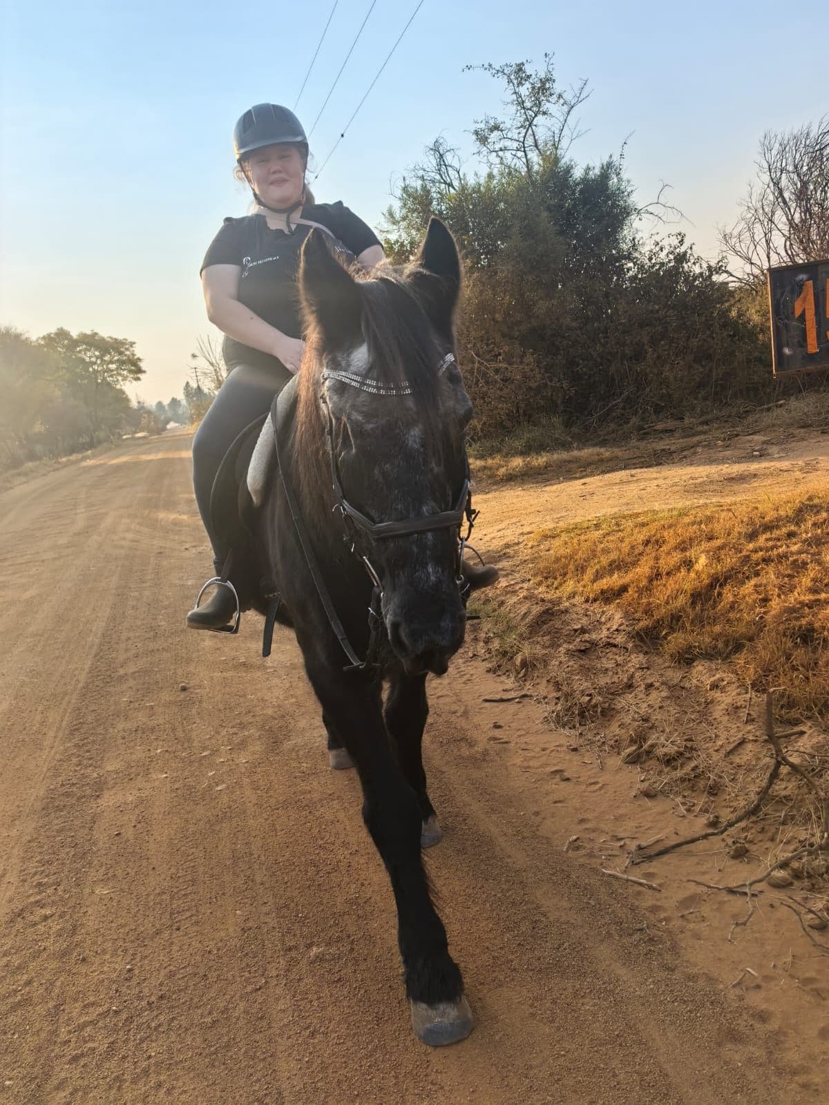 Rider on a black horse on the farm road at sunset