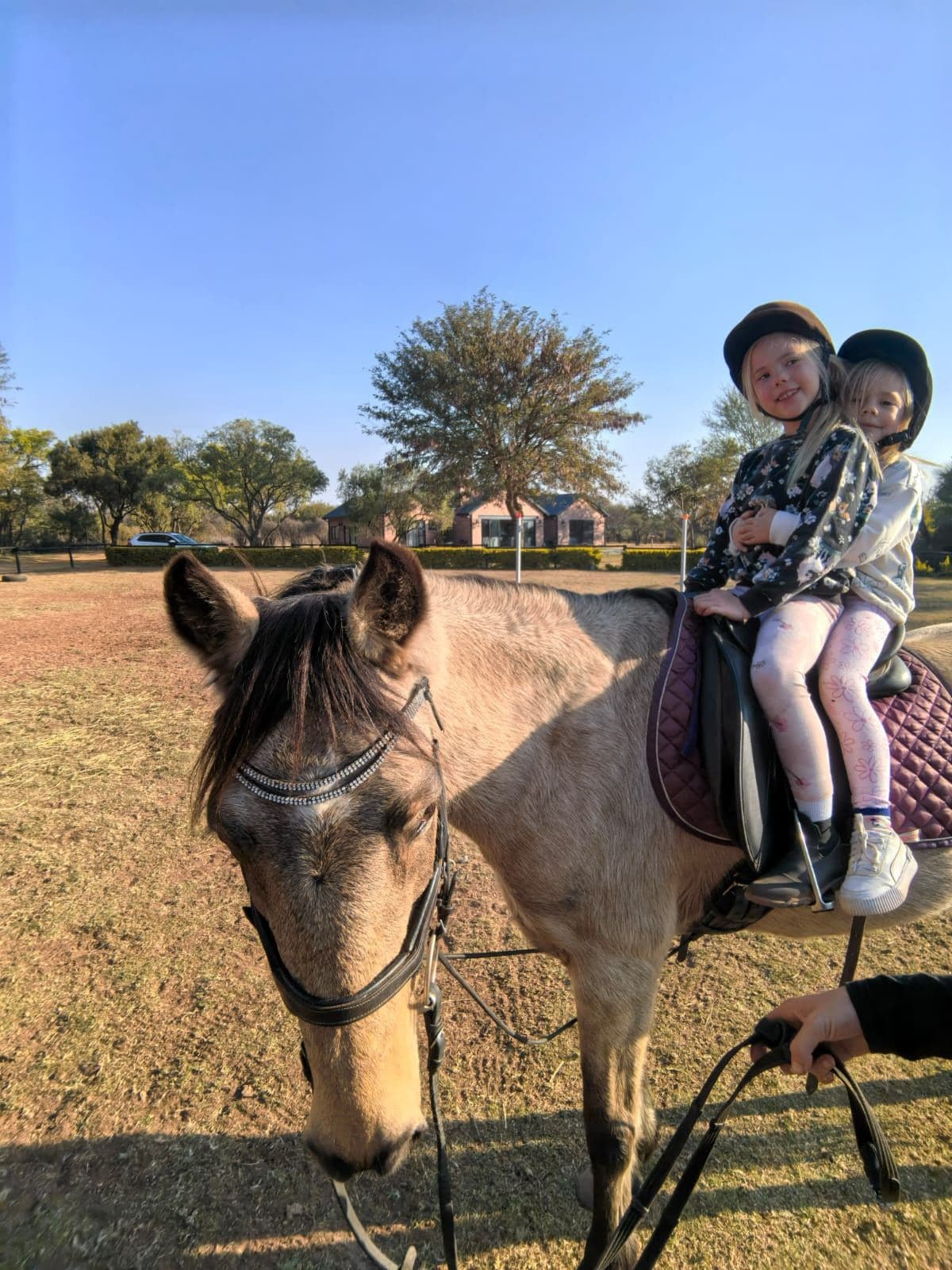 Two little girls riding together on a buckskin pony