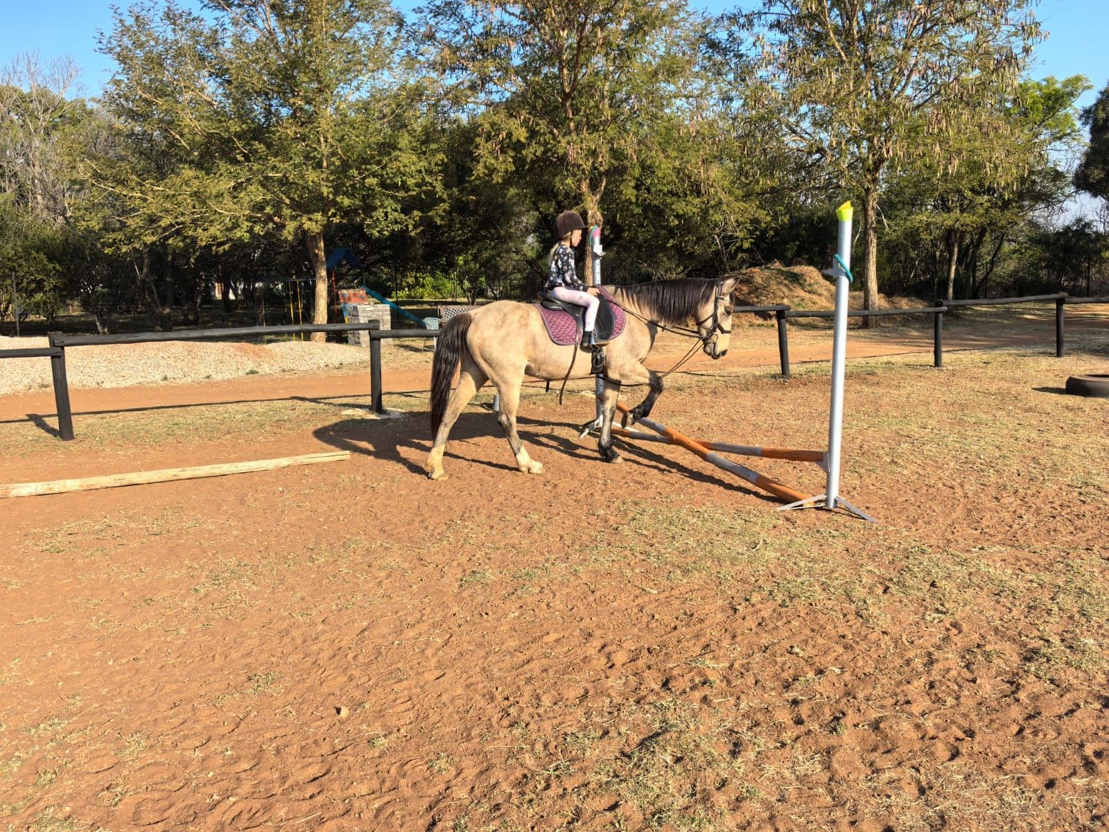 Rider on a pony over a pole in the arena