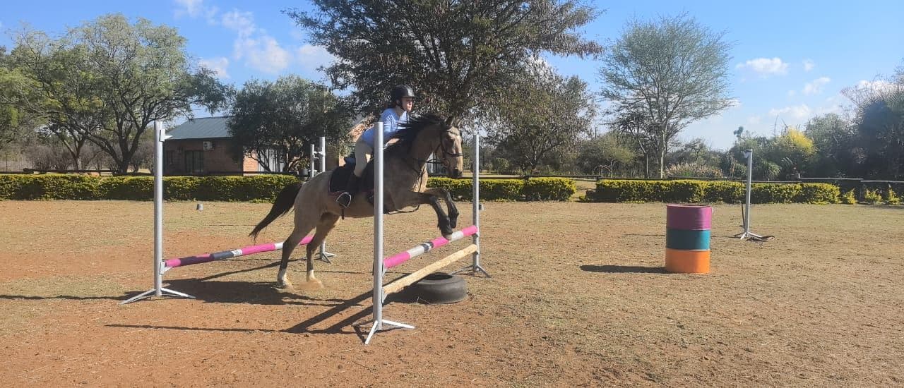 A rider jumping a pink-and-white pole in the arena