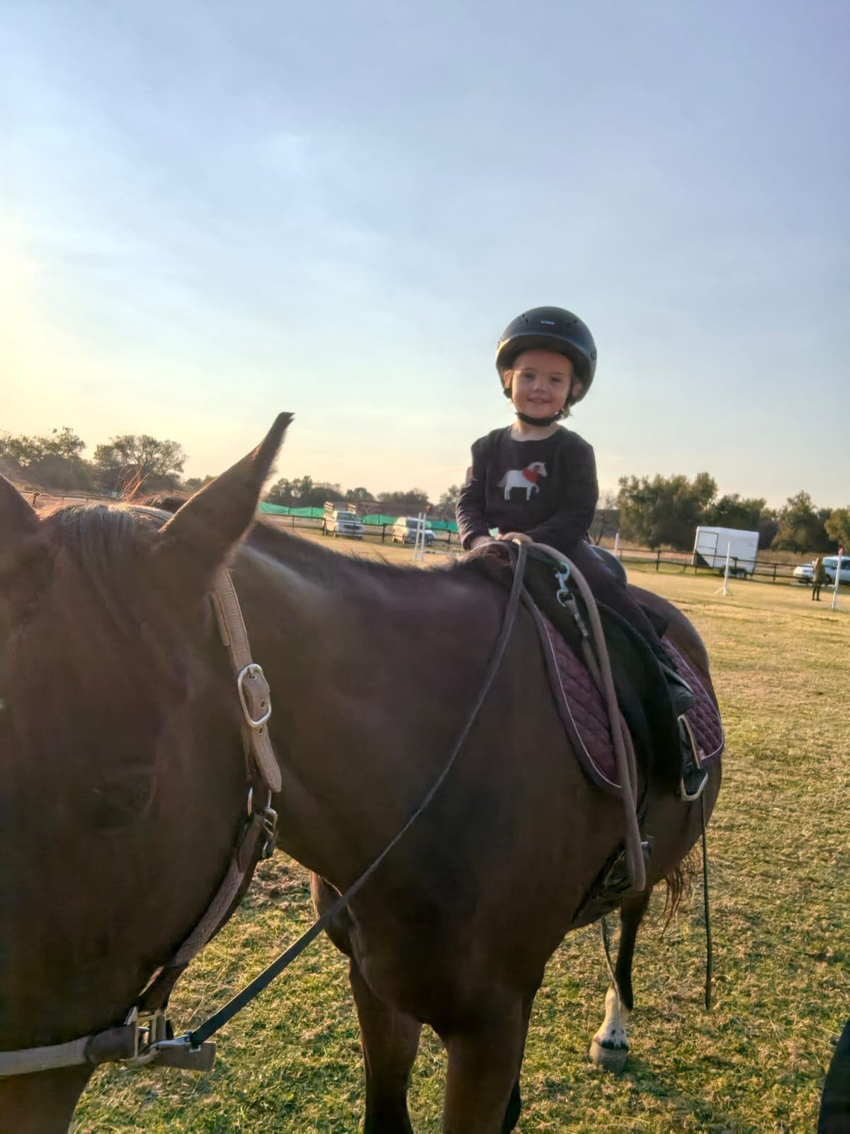 Toddler in a helmet on a bay horse at sunset